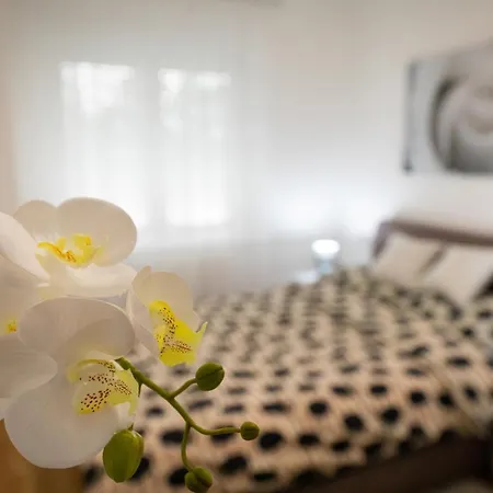 Apartman Ivana - Private Parking Eszék Kültér fotó